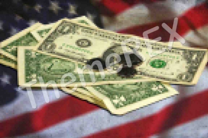 Proin vel odio eu velit